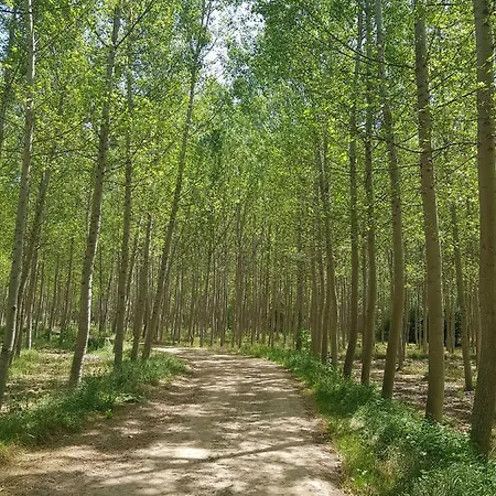 Casa Clemen منزل ريفي Villalba Baja
